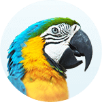 Описание изображения